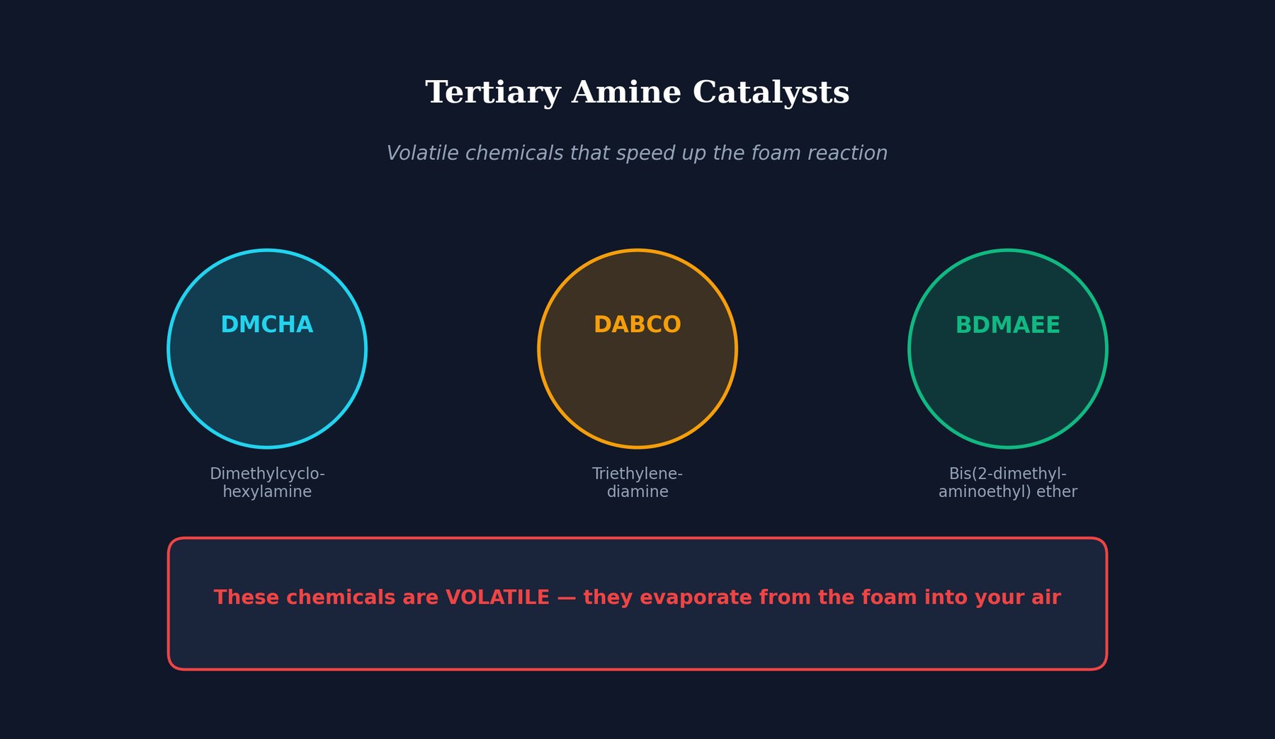 Meet the Amine Catalysts illustration