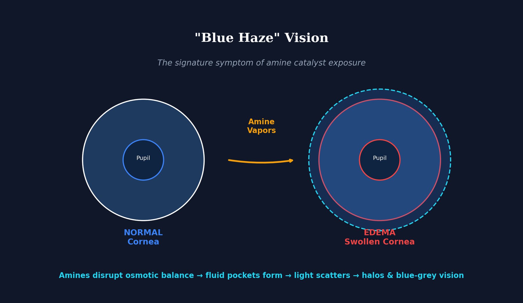 Blue Haze Vision illustration