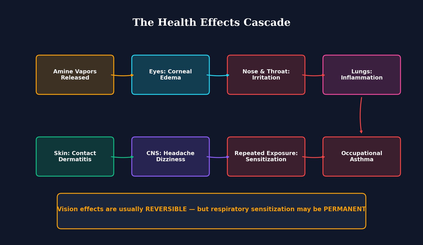 Health Effects Cascade illustration