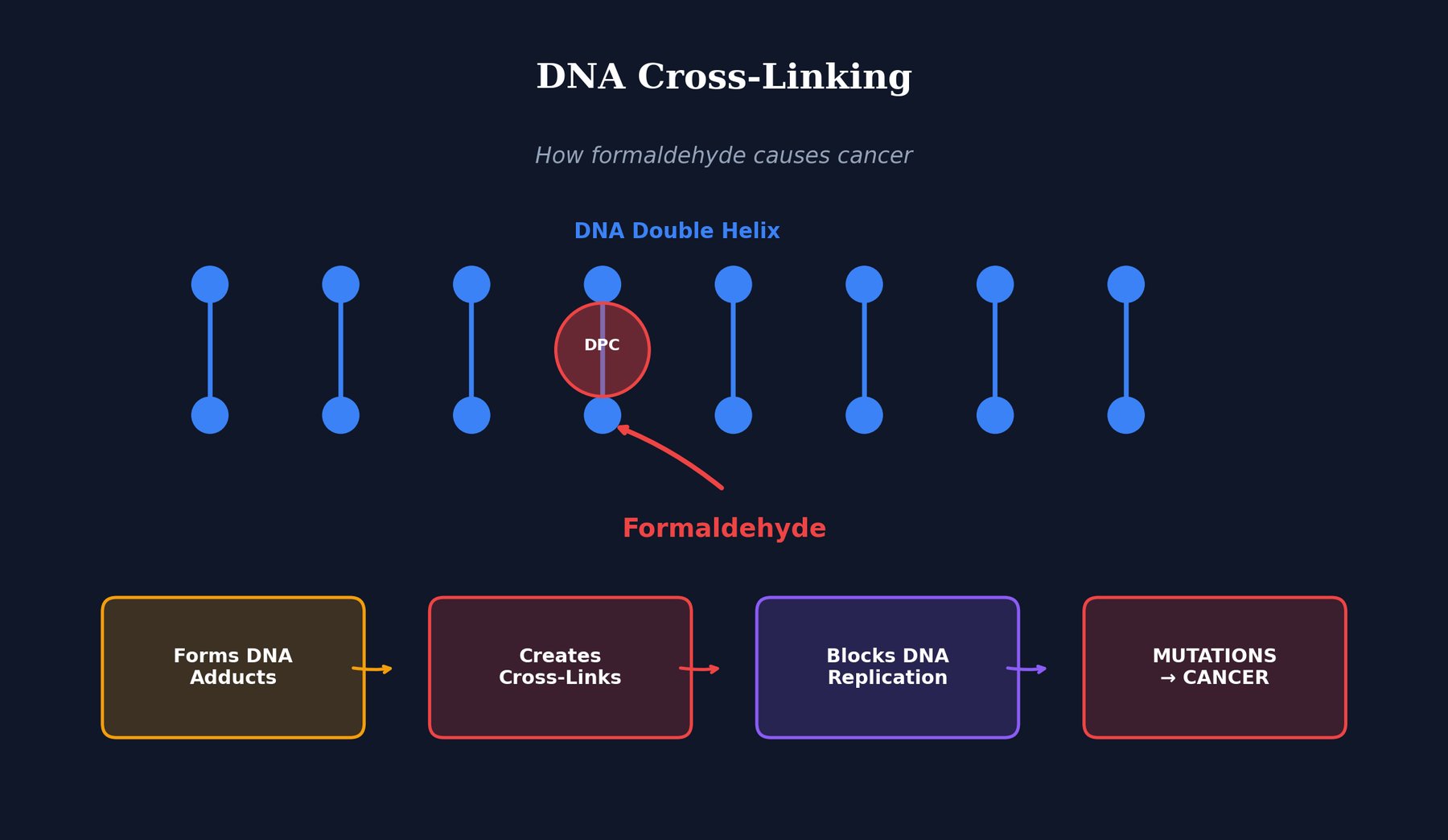 DNA Cross illustration