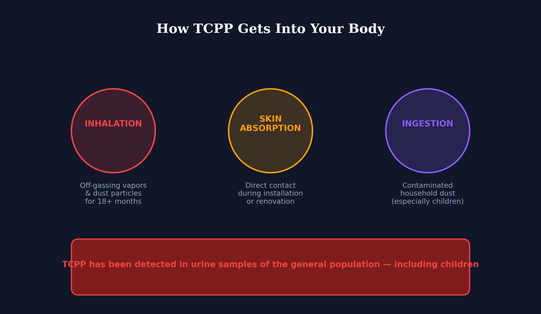 How TCPP Gets Into Your Body illustration