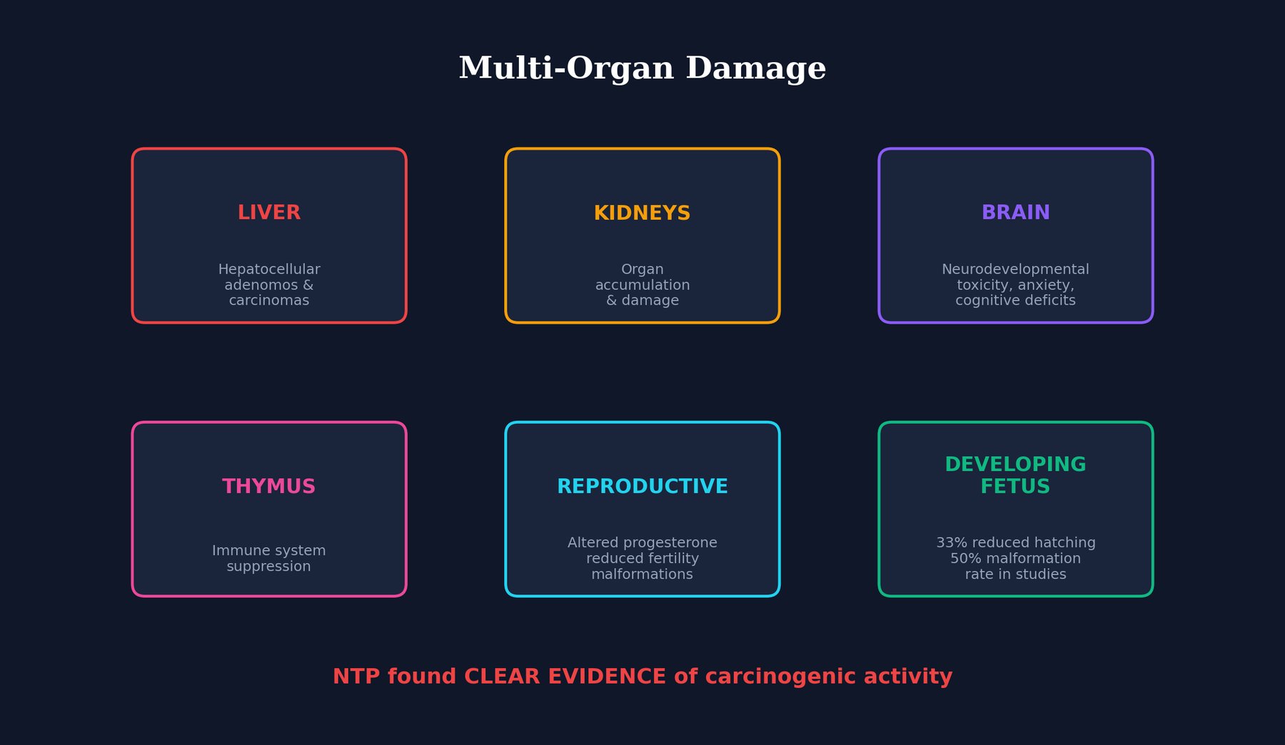 Multi-Organ illustration