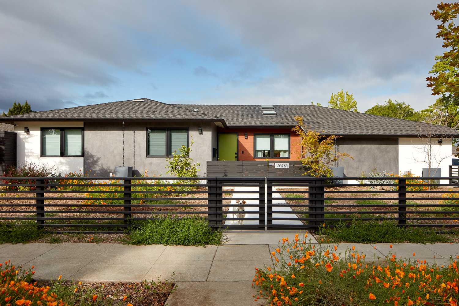 Reimagined Ranch